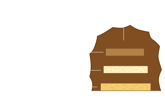 内容図