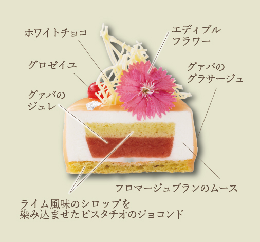グァバムースの断面図