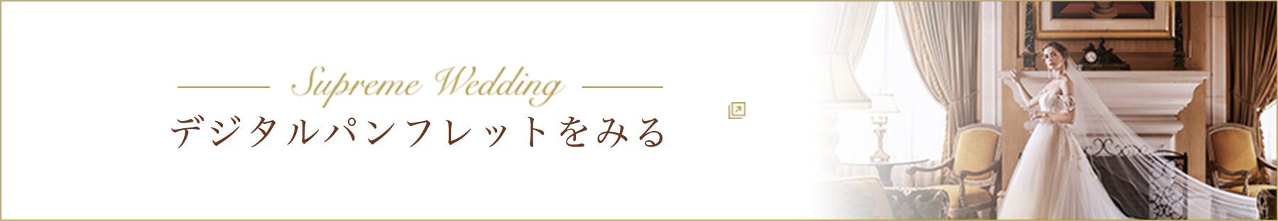 デジタルパンフレットをみる