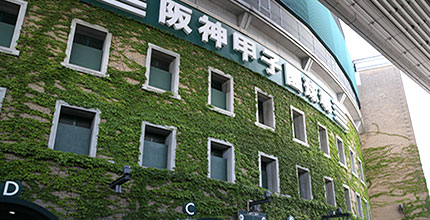 阪神甲子園球場