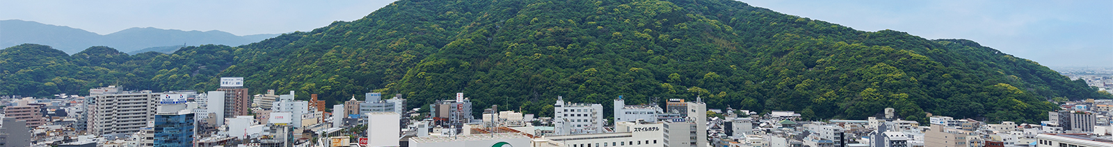 基本情報