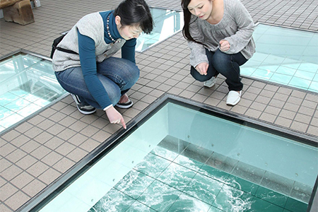 徳島県立渦の道