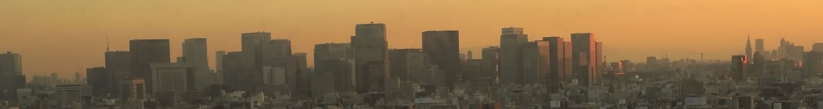 基本情報