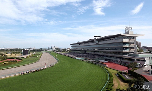 阪神競馬場