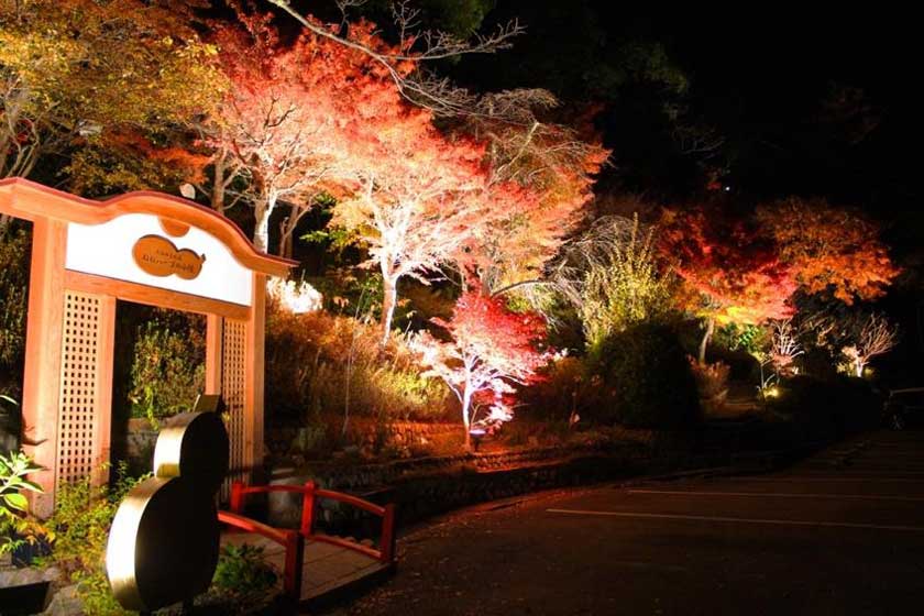 太閤の湯 リフレッシュオープン後、初のライトアップ  有馬・錦秋紅葉巡りの名所「紅葉の棚田」 
